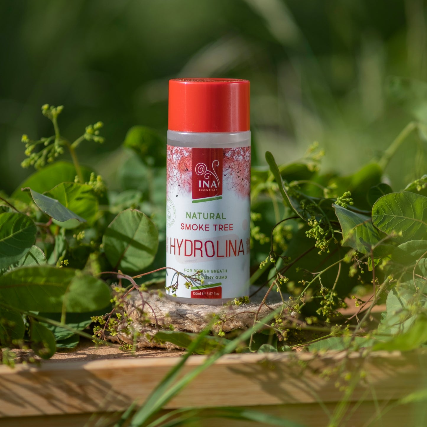 Familiepakke til Tandpleje - 3x Mundskyl Parykbuskvand (Cotinus coggygria) - Hydrolina