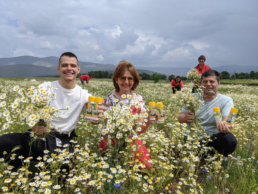 Eczema and how a small family brand solved this problem with an organic product