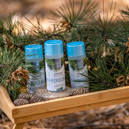 GRATIS Økologisk Ædelgranvand - Hydrolina til Pigmentpletter på huden