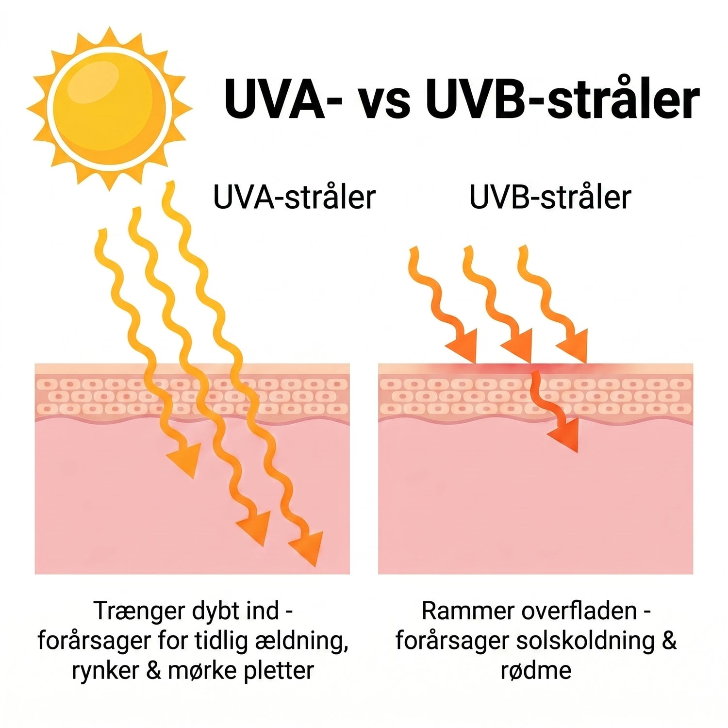 spf DK infographic