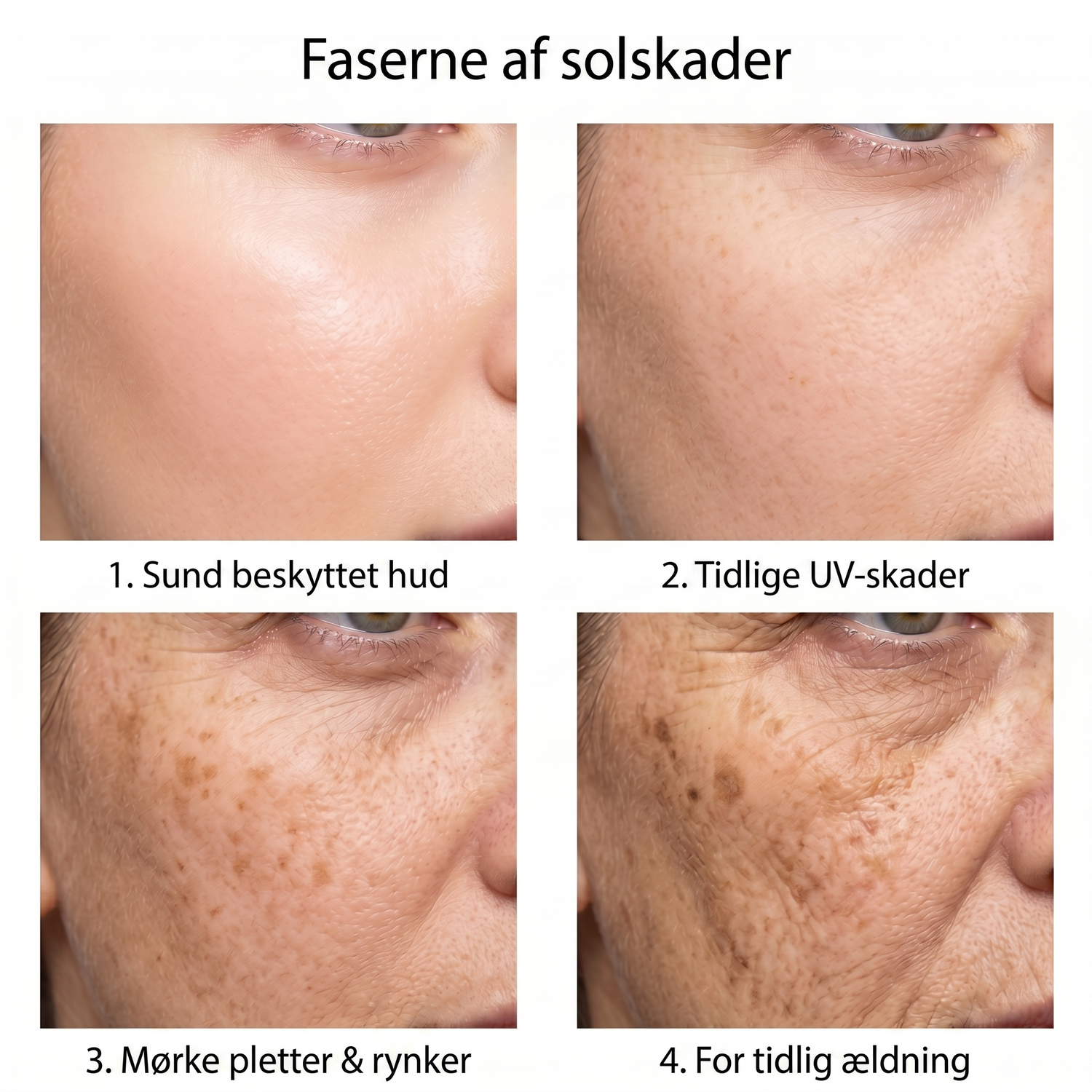 spf DK infographic